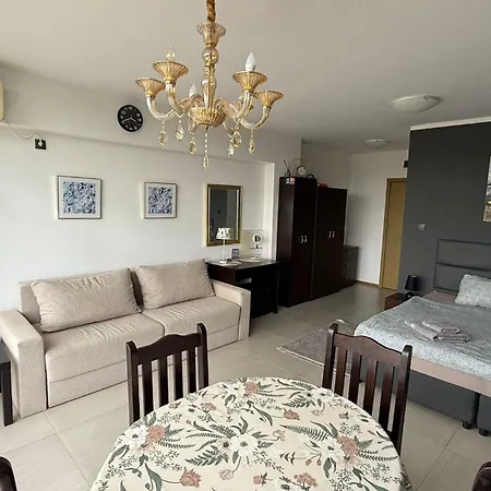 In Big Kamelia Complex Sunny * Slantchev Briag