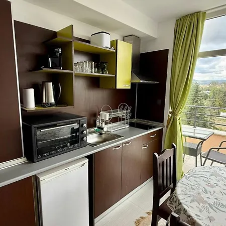 In Big Kamelia Complex Sunny